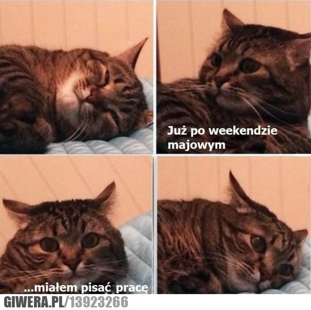 po weekendzie,praca