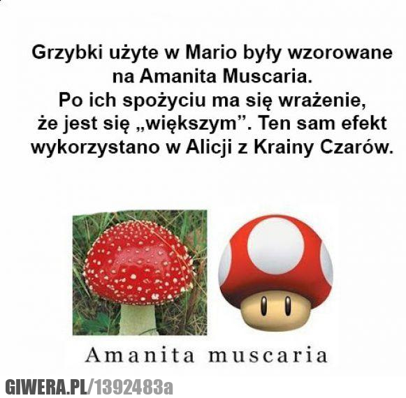 grzybki,mario,