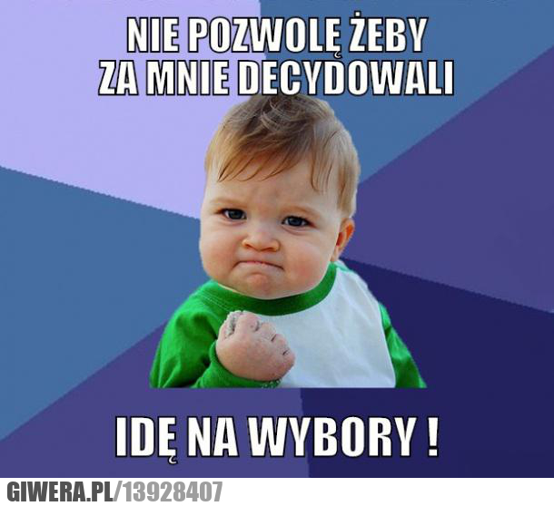 wybory