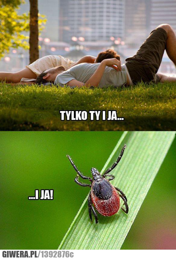 tylko ty i ja
