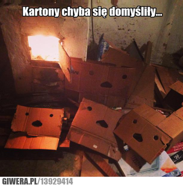 kartony