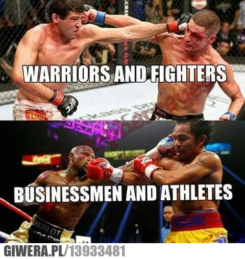 ufc, kfc, boks 