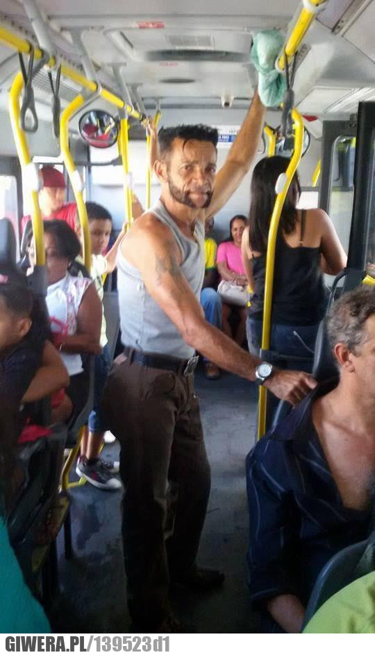 Wolverine,autobus