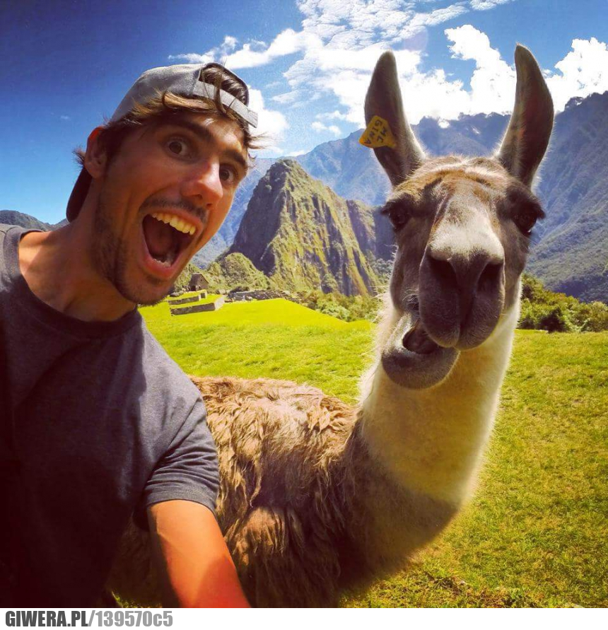 Machu Picchu,selfie,lama