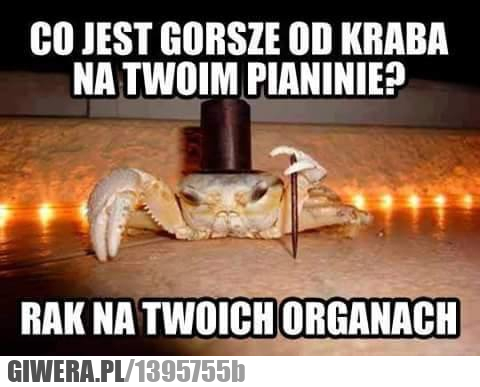 Rak,Krab,suchar