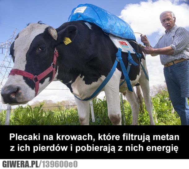 eco, energia