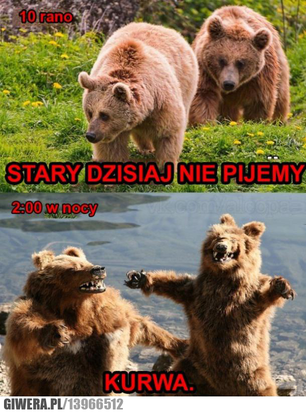 nie pijemy