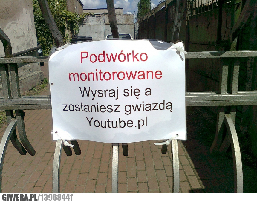 Sranie,Gwiazda,youtube