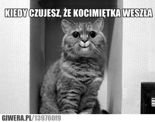 kiedy