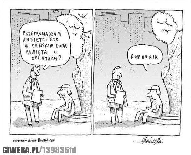 ankieta