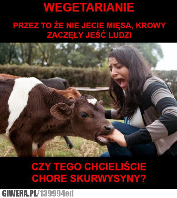 wegetarianie
