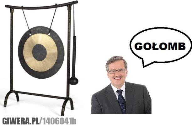 gołomb,komor