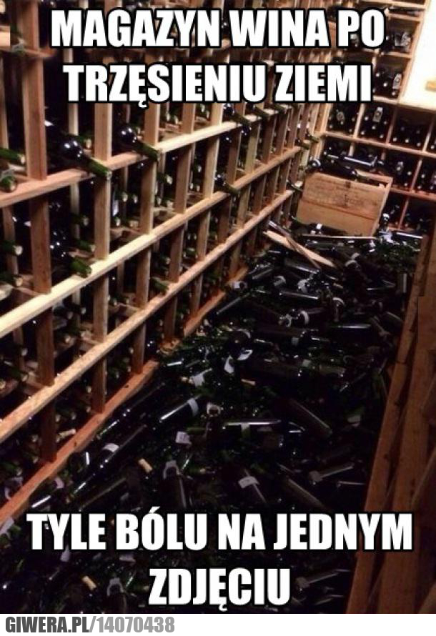 wino