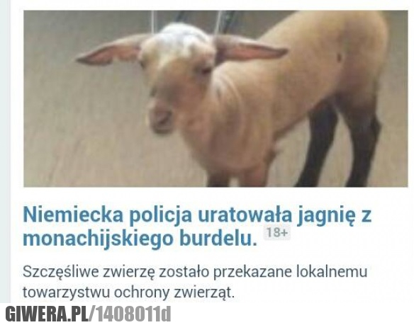 Niemiecka policja,jagnię,burdel
