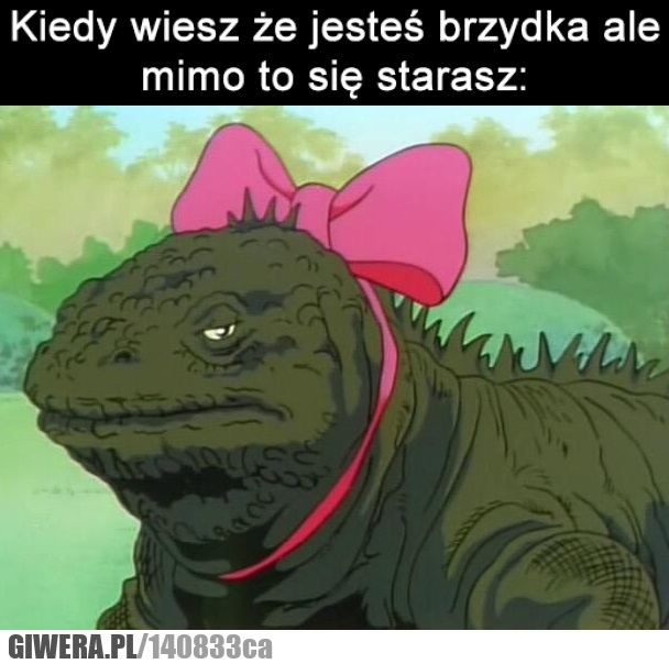 Brzydka,starania,kokardka