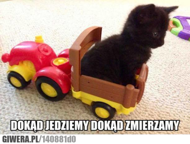 dokąd jedziemy