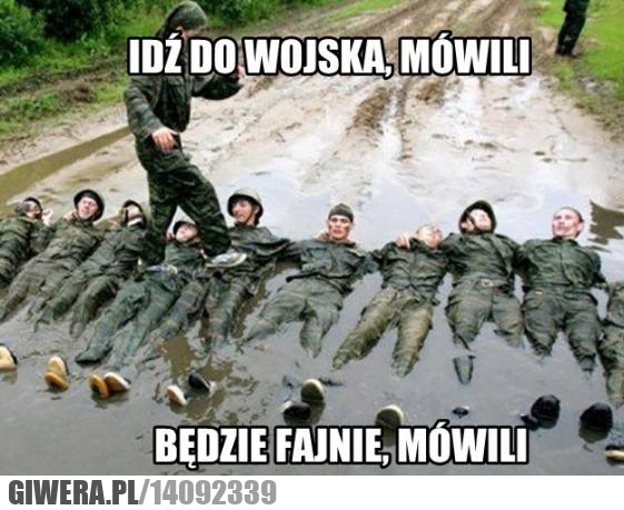 Wojsko