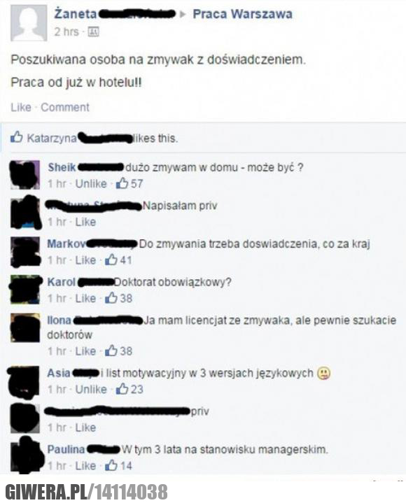 Praca,Zmywak,Doświadczenie,Hotel,Doktorat