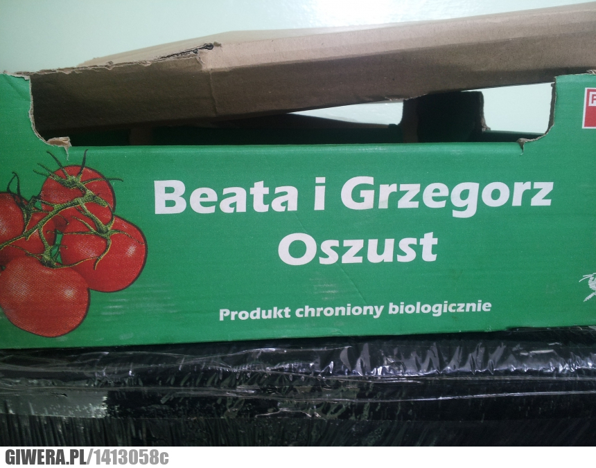 Oszust,Karton,Nazwisko