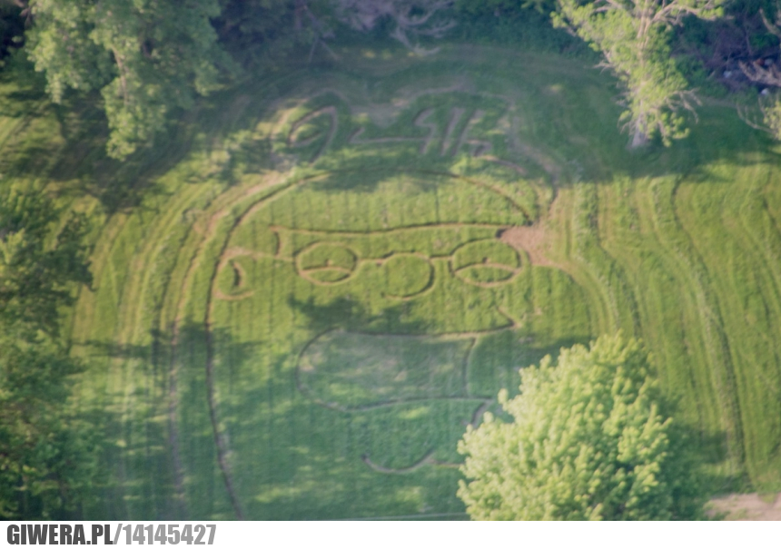 Family Guy,Peter Griffin