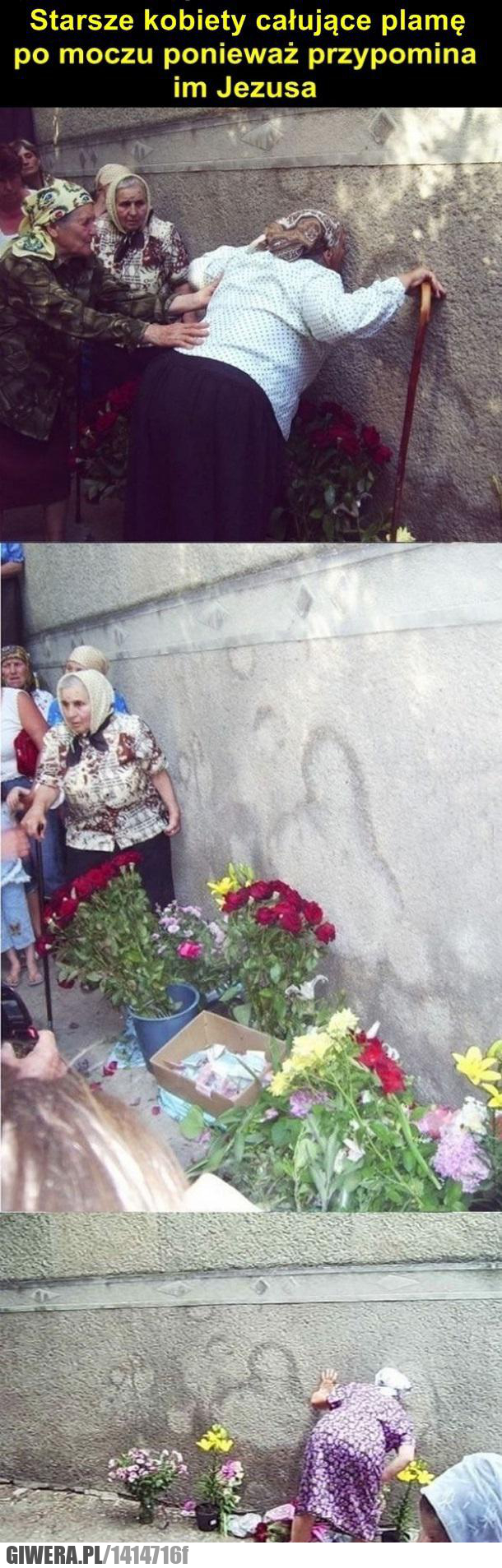 bałwochwalstwo,katol,moher