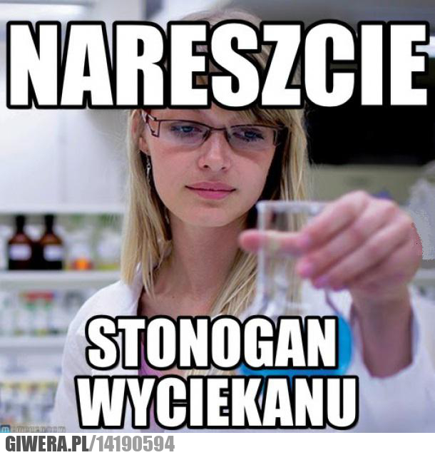 nareszcie,stonoga