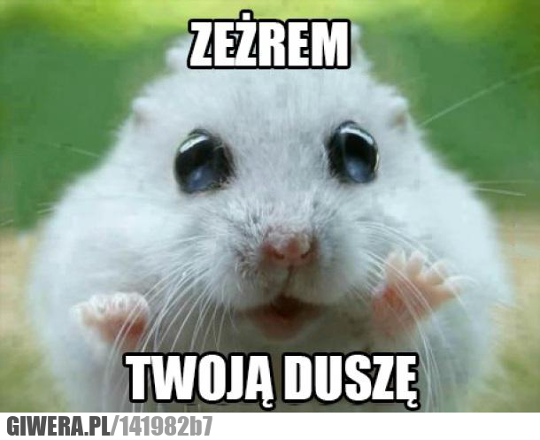 zeżrem