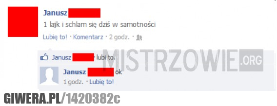 chlanie,facebook