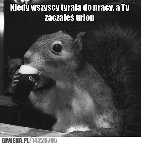 urlop