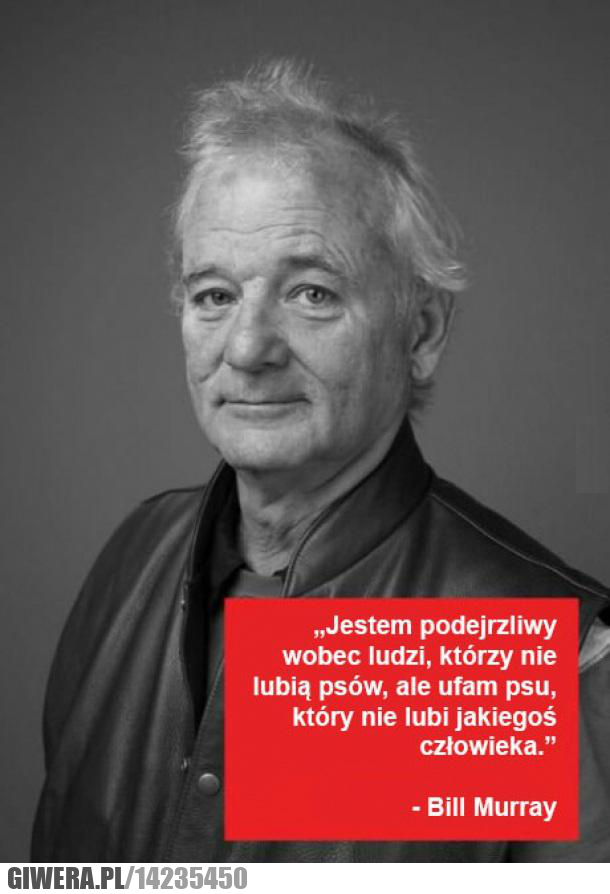bill,murray