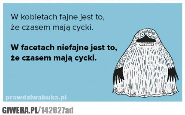 cycki