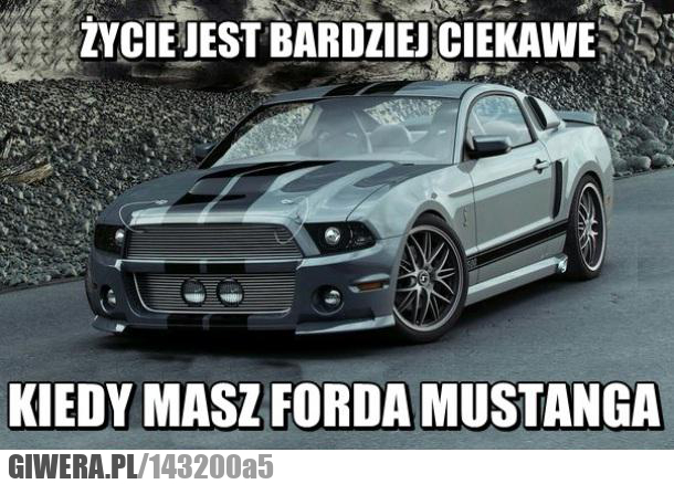 mustang