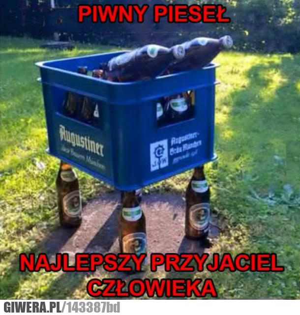 pieseł