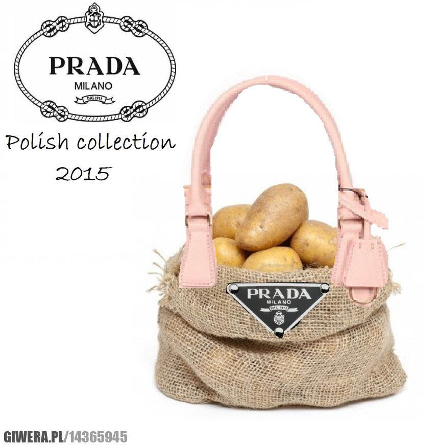 moda, poland, cebuland, prada