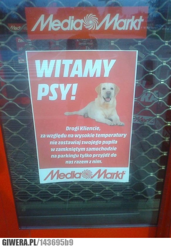 psy,media markt