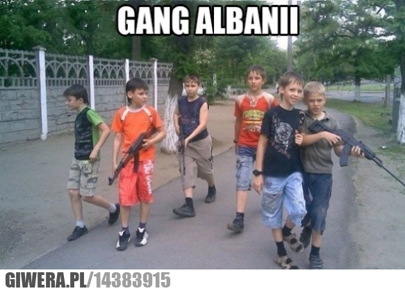 gang albanii
