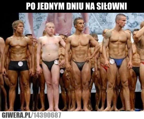 siłownia,kulturyści