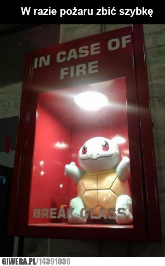 Squirtle,gaśnica,pożar