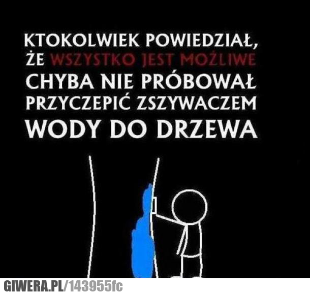 wszystko jest możliwe