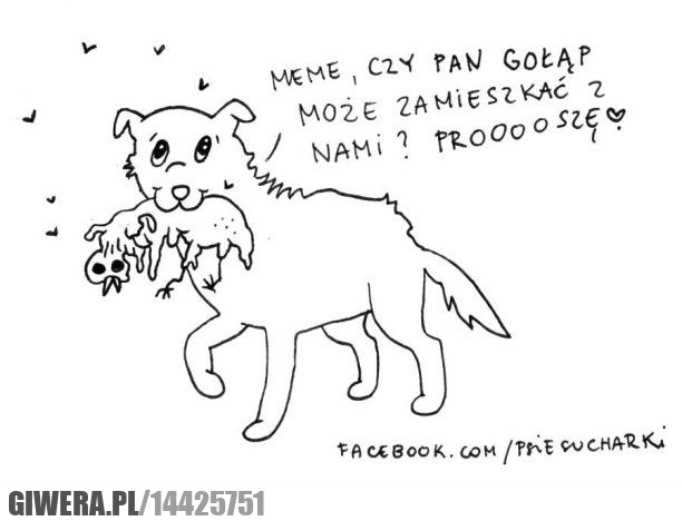 czy może