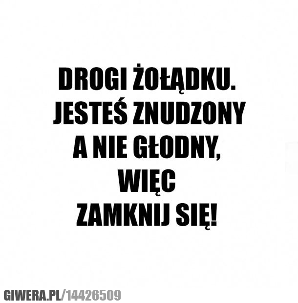 żołądek