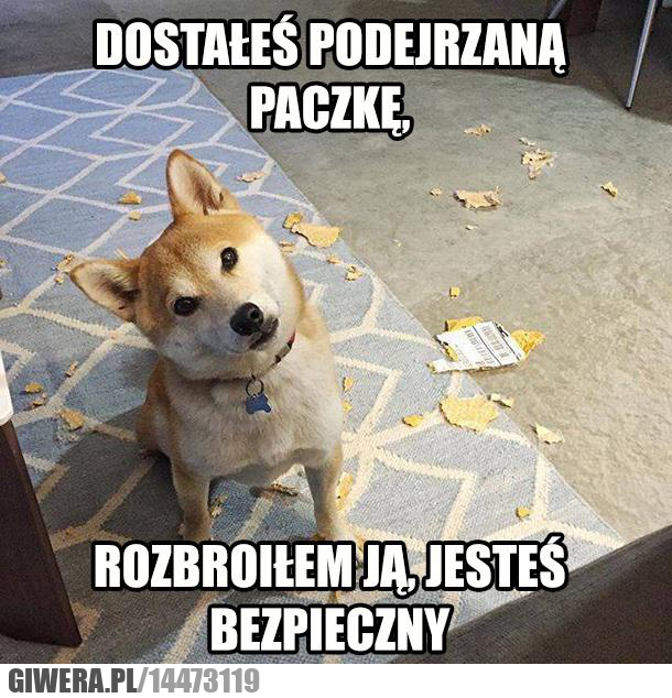 paczka