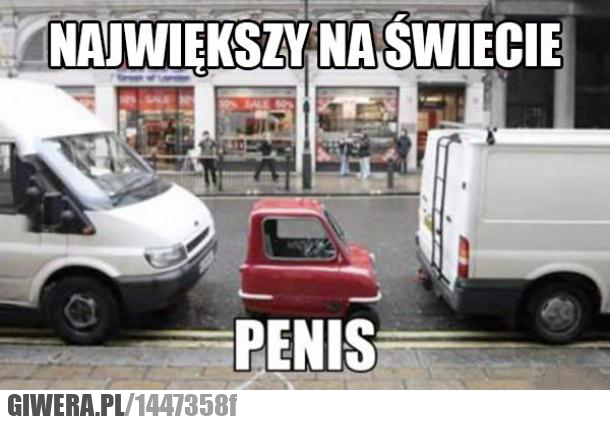penis,najwiekszy