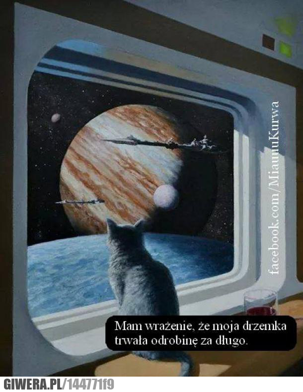 drzemka