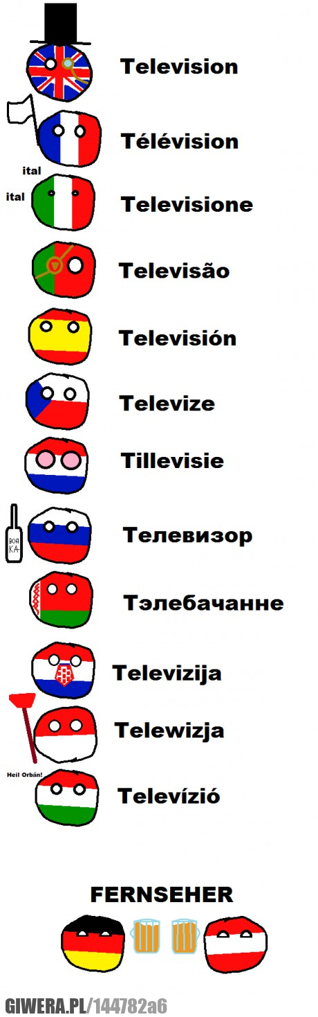 telewizja