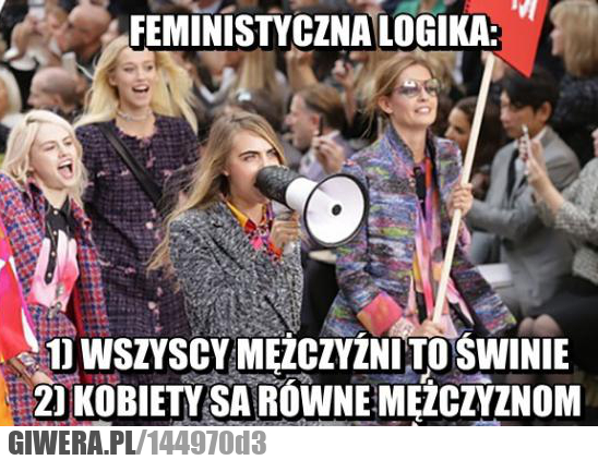 Logika feministek