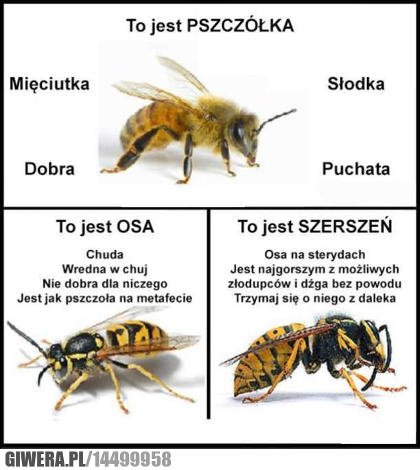 różnice