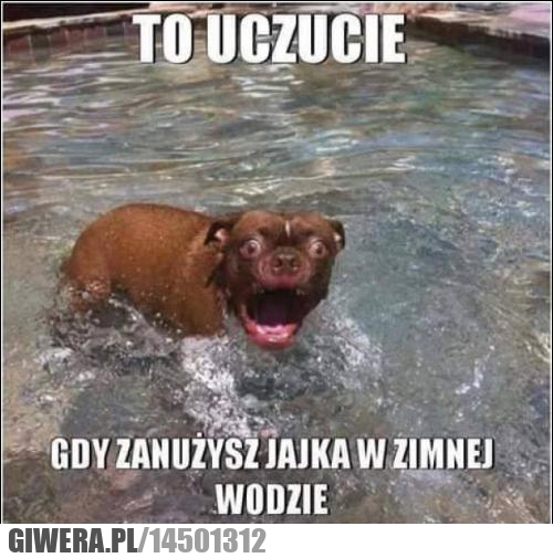 uczucie