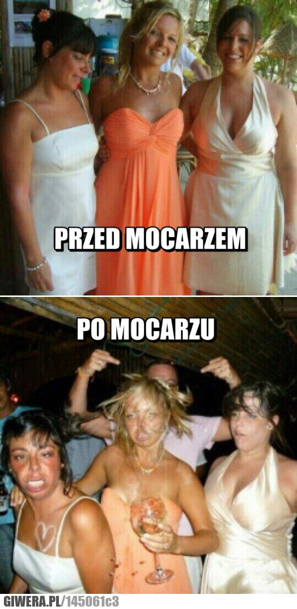 mocarz