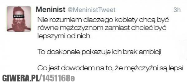 feministki